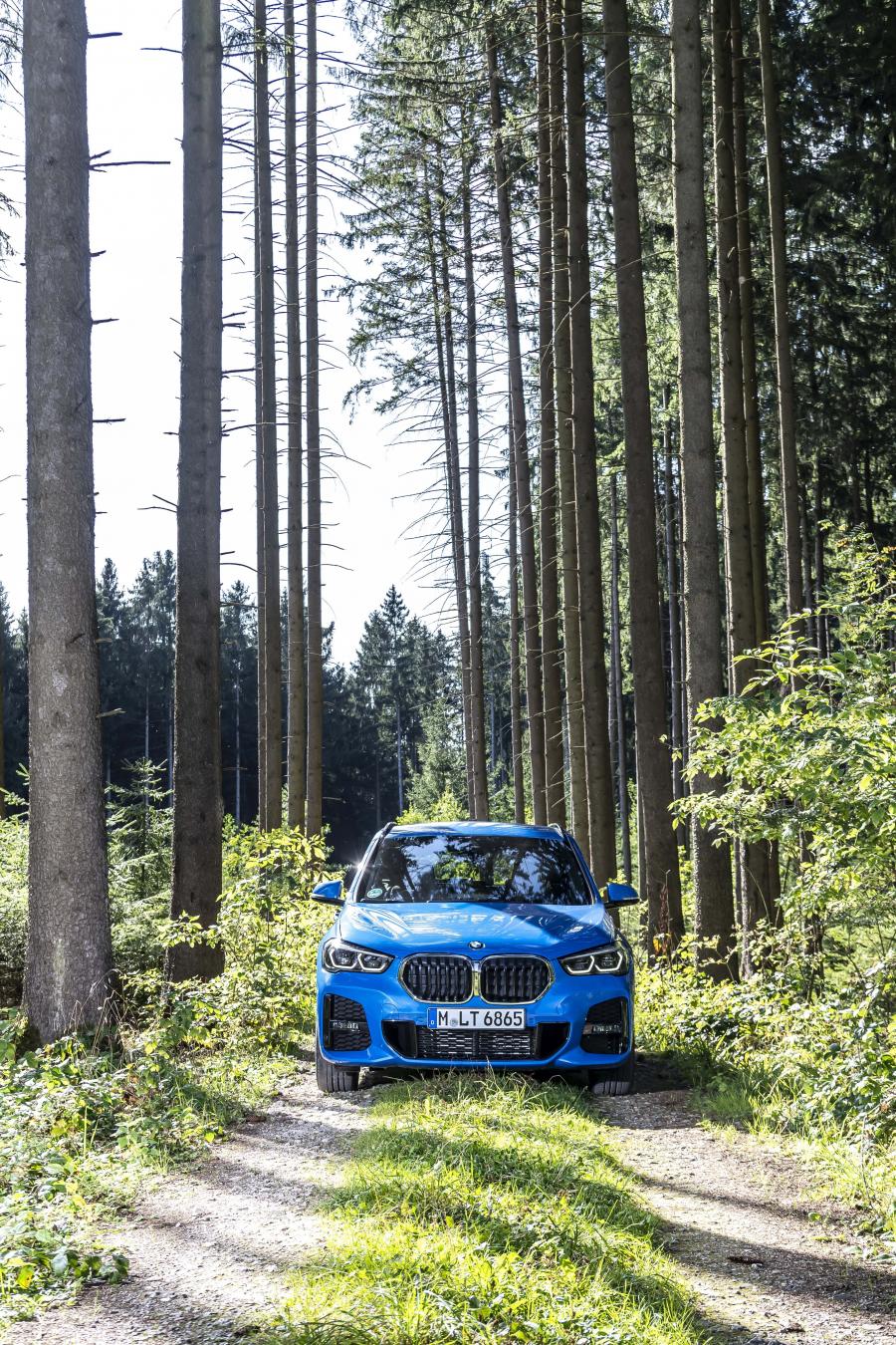  BMW X1 xDrive25i M Sport (F48) 2019 года  (WW) (фото 55 из 112)